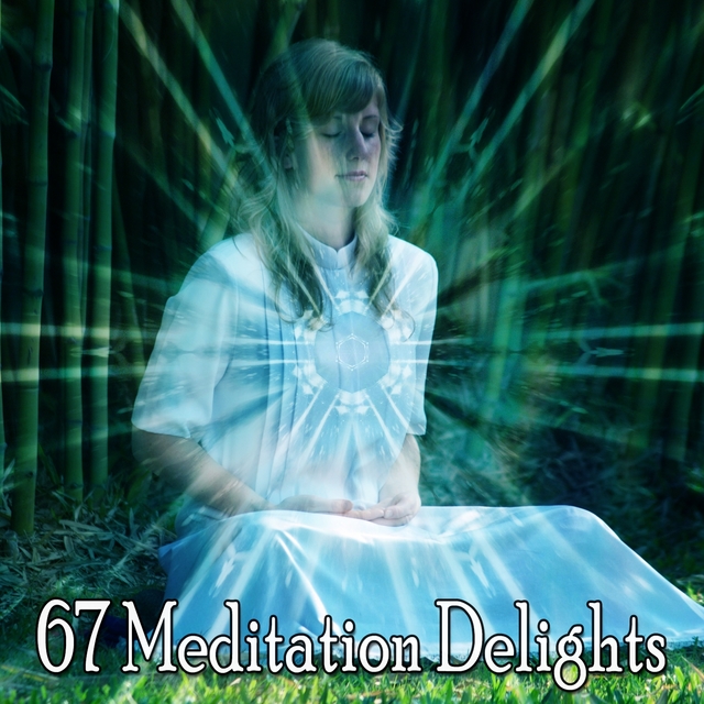 67 Meditation Delights