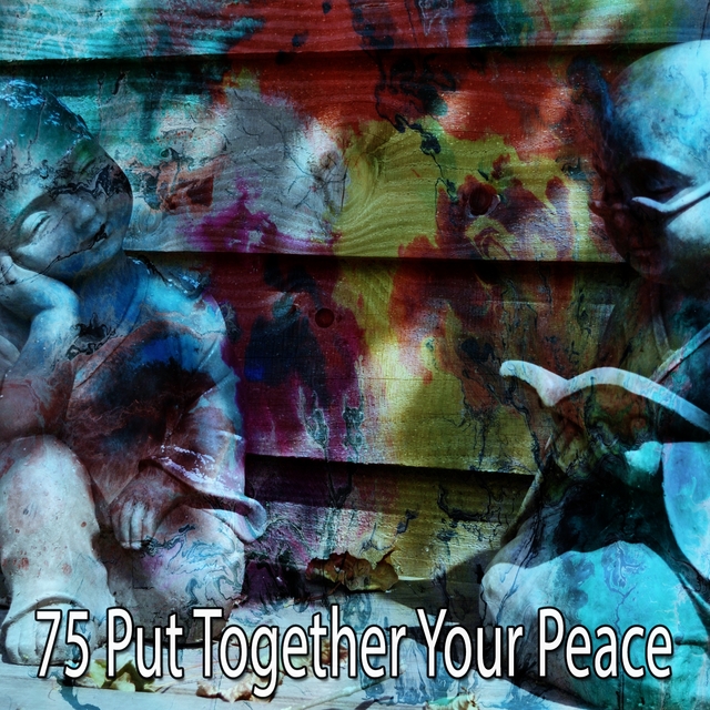 Couverture de 75 Put Together Your Peace