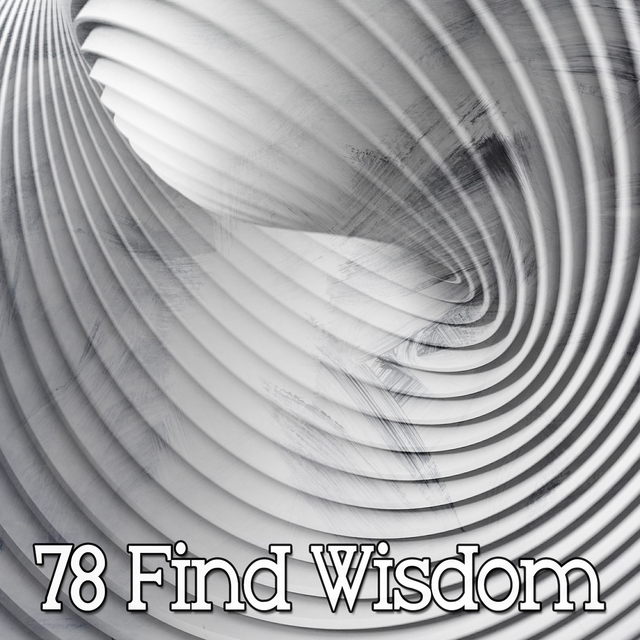 78 Find Wisdom