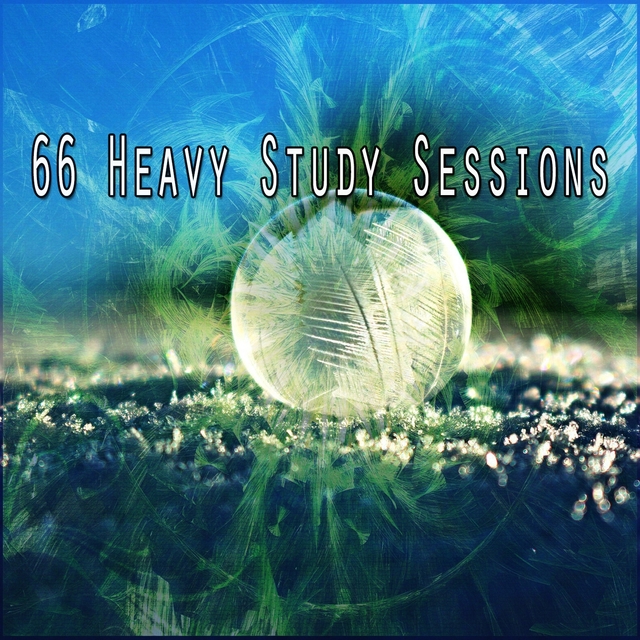 66 Heavy Study Sessions