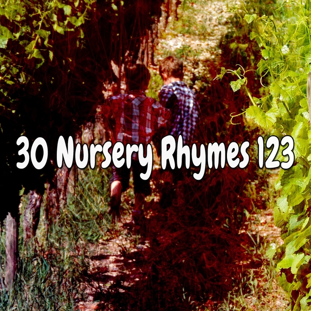 Couverture de 30 Nursery Rhymes 123