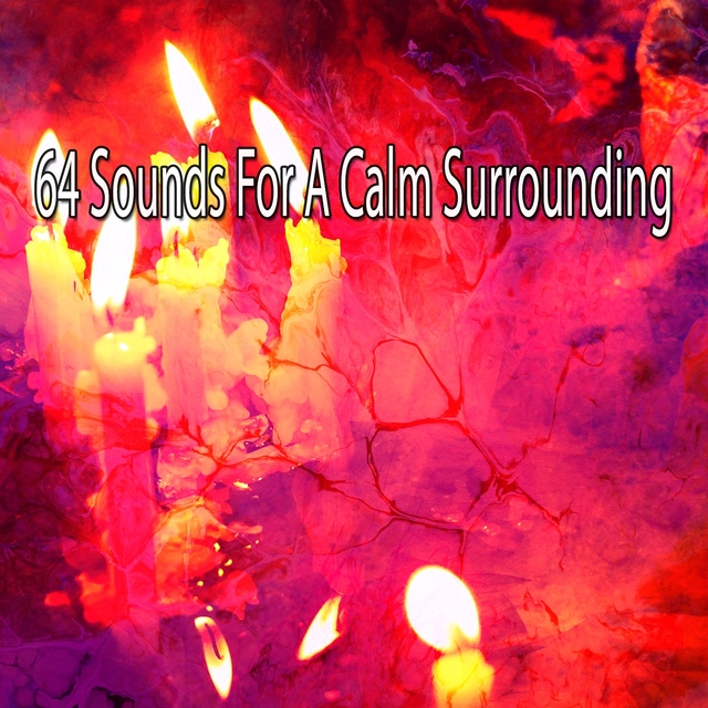 Couverture de 64 Sounds for a Calm Surrounding