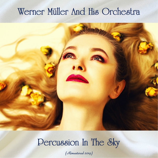 Couverture de Percussion In The Sky