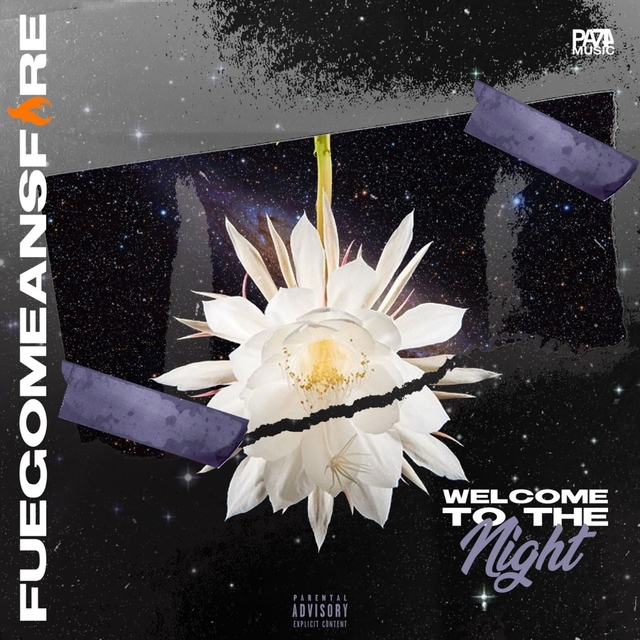 Couverture de Welcome to the Night