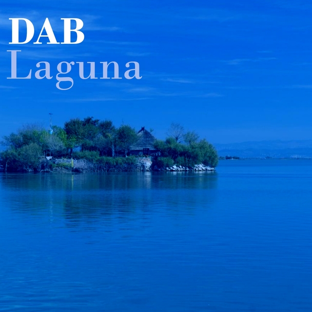 Couverture de Laguna