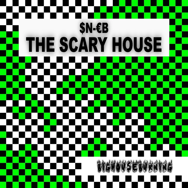 Couverture de The Scary House