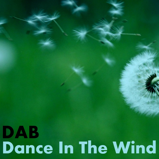 Couverture de Dance in the Wind
