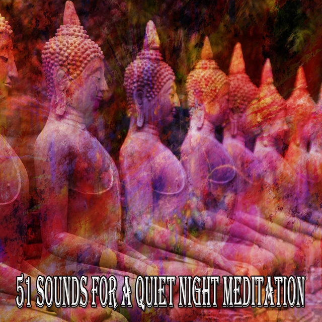 Couverture de 51 Sounds for a Quiet Night Meditation