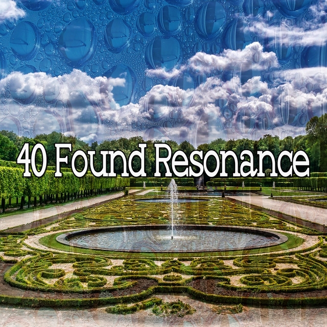 Couverture de 40 Found Resonance