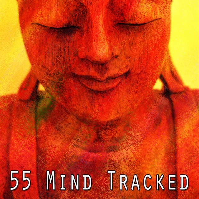 55 Mind Tracked