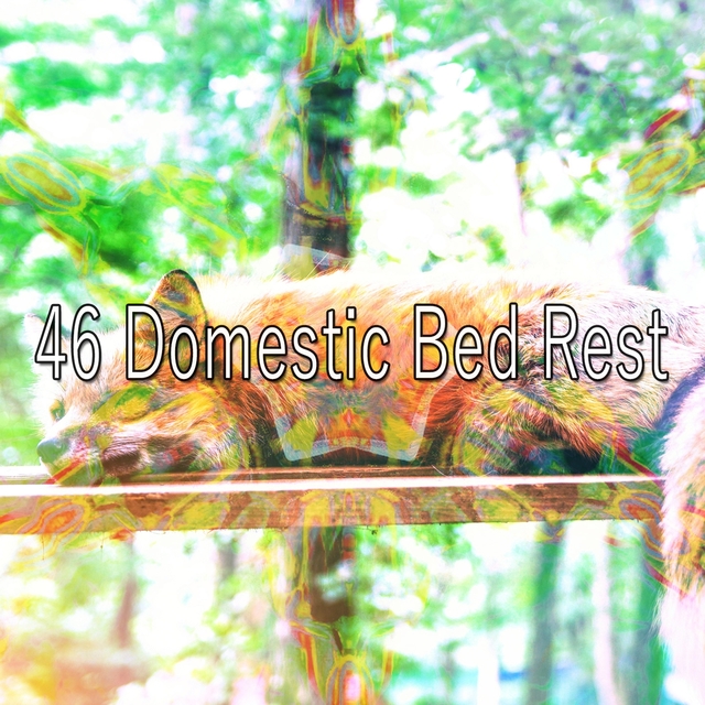 46 Domestic Bed Rest