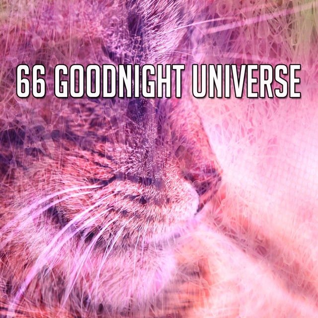 66 Goodnight Universe