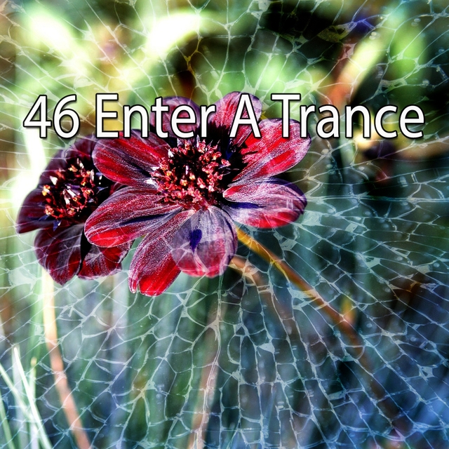 Couverture de 46 Enter a Trance