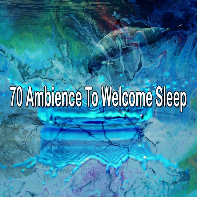 70 Ambience to Welcome Sleep