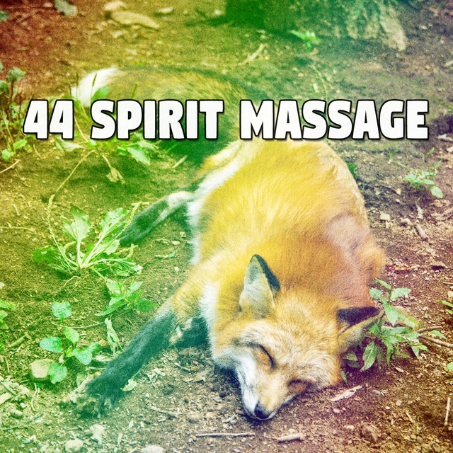 44 Spirit Massage