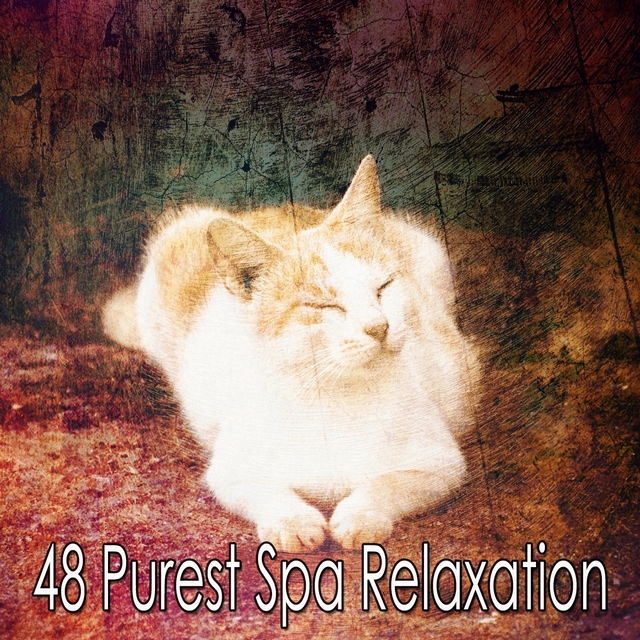 Couverture de 48 Purest Spa Relaxation