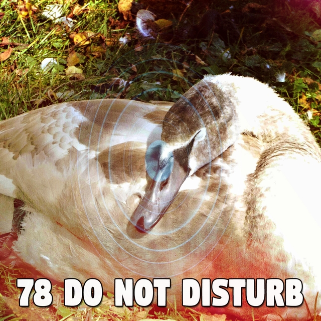 78 Do Not Disturb