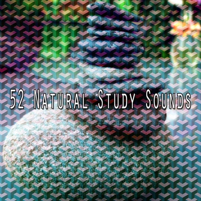 Couverture de 52 Natural Study Sounds