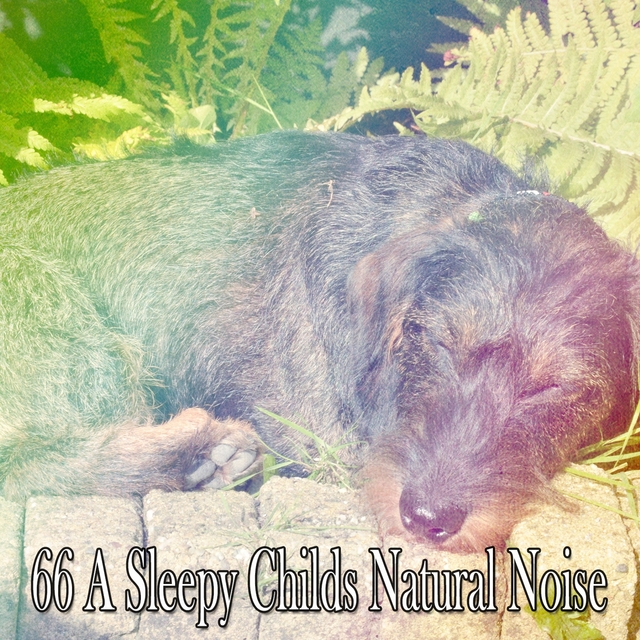 66 A Sleepy Childs Natural Noise