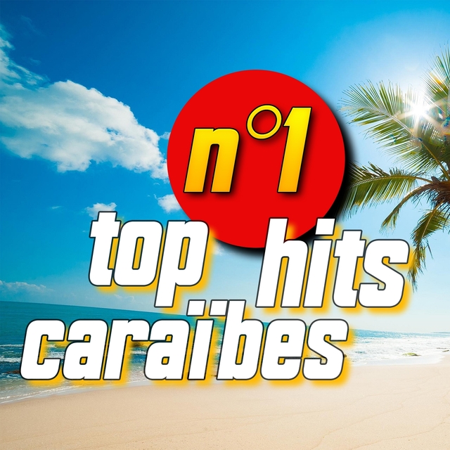 Couverture de Top hits caraïbes