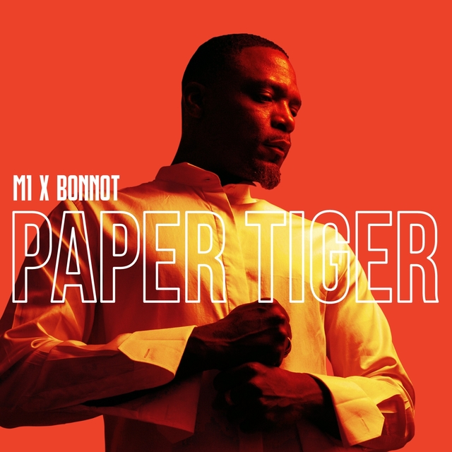 Couverture de Paper Tiger