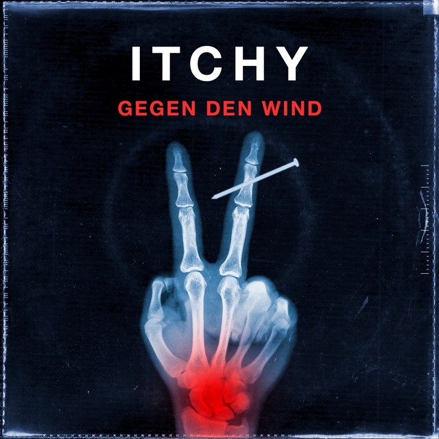 Couverture de Gegen den Wind