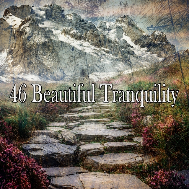 46 Beautiful Tranquility