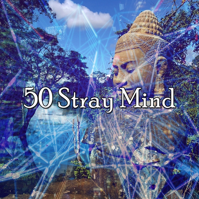 50 Stray Mind