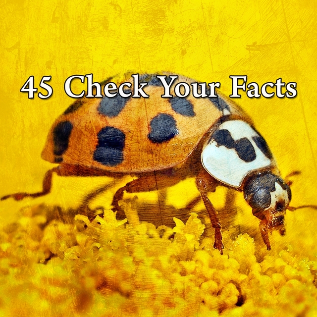 45 Check Your Facts