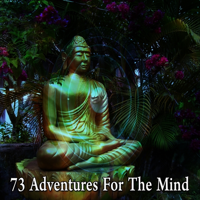 73 Adventures for the Mind