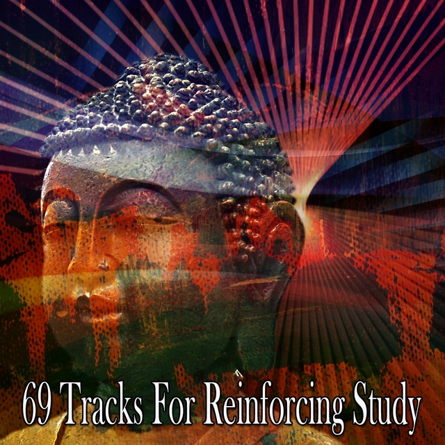 69 Tracks for Reinforcing Study