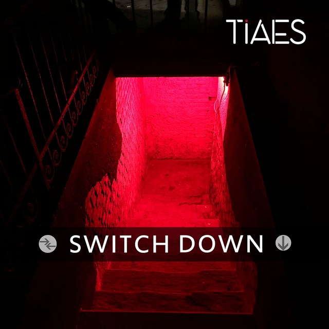 Couverture de Switch Down