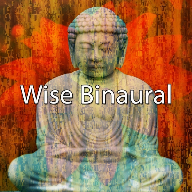 Wise Binaural