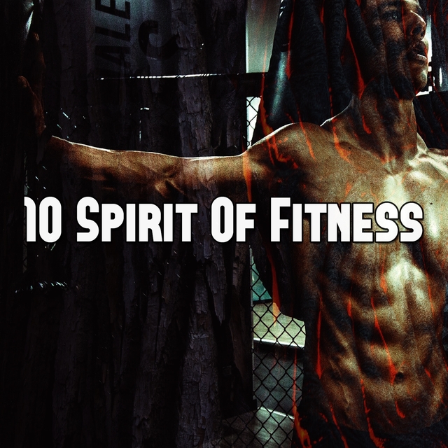 Couverture de 10 Spirit of Fitness