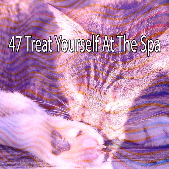 Couverture de 47 Treat Yourself at the Spa