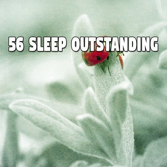 Couverture de 56 Sleep Outstanding