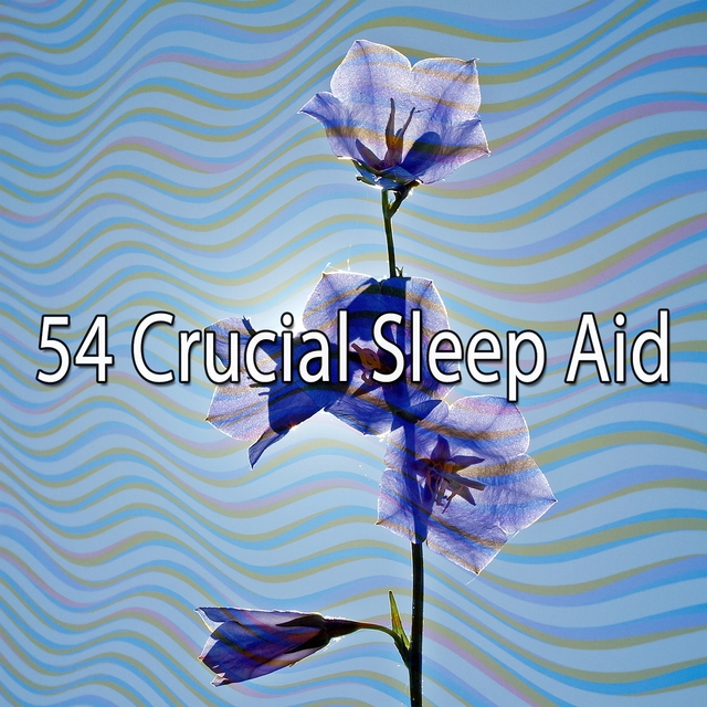 54 Crucial Sleep Aid