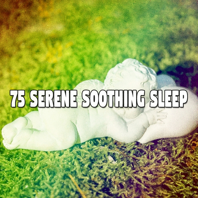 Couverture de 75 Serene Soothing Sleep