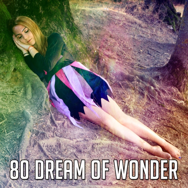 80 Dream of Wonder