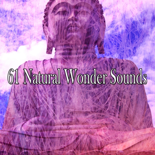 Couverture de 61 Natural Wonder Sounds