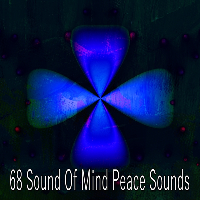 Couverture de 68 Sound of Mind Peace Sounds