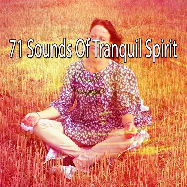 Couverture de 71 Sounds of Tranquil Spirit