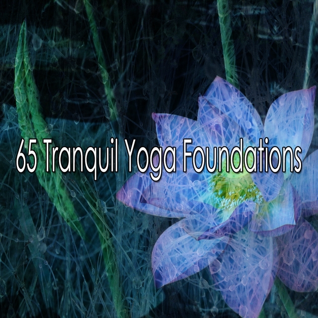 65 Tranquil Yoga Foundations