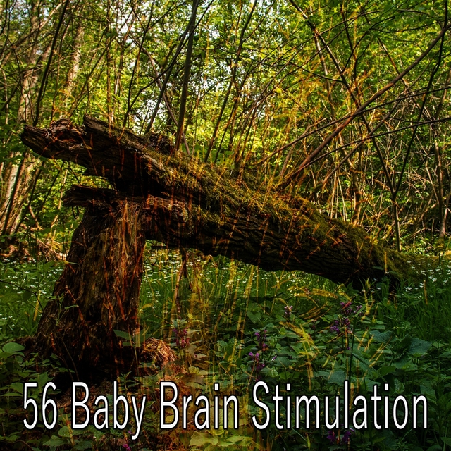 56 Baby Brain Stimulation