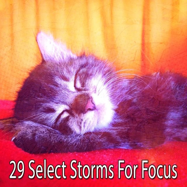 Couverture de 29 Select Storms for Focus