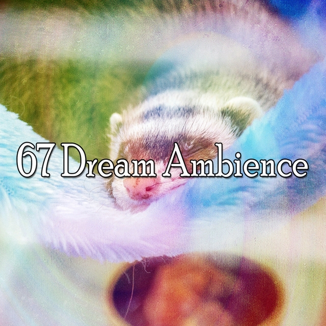 67 Dream Ambience