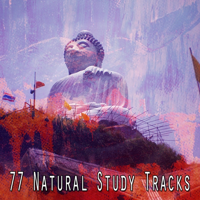 77 Natural Study Tracks