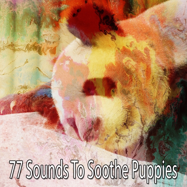 77 Sounds to Soothe Puppies