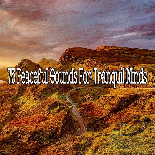 75 Peaceful Sounds for Tranquil Minds