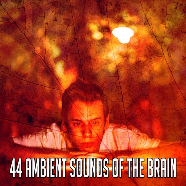 44 Ambient Sounds of the Brain